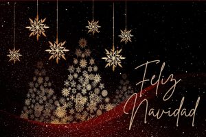 Lee más sobre el artículo Felices Fiestas