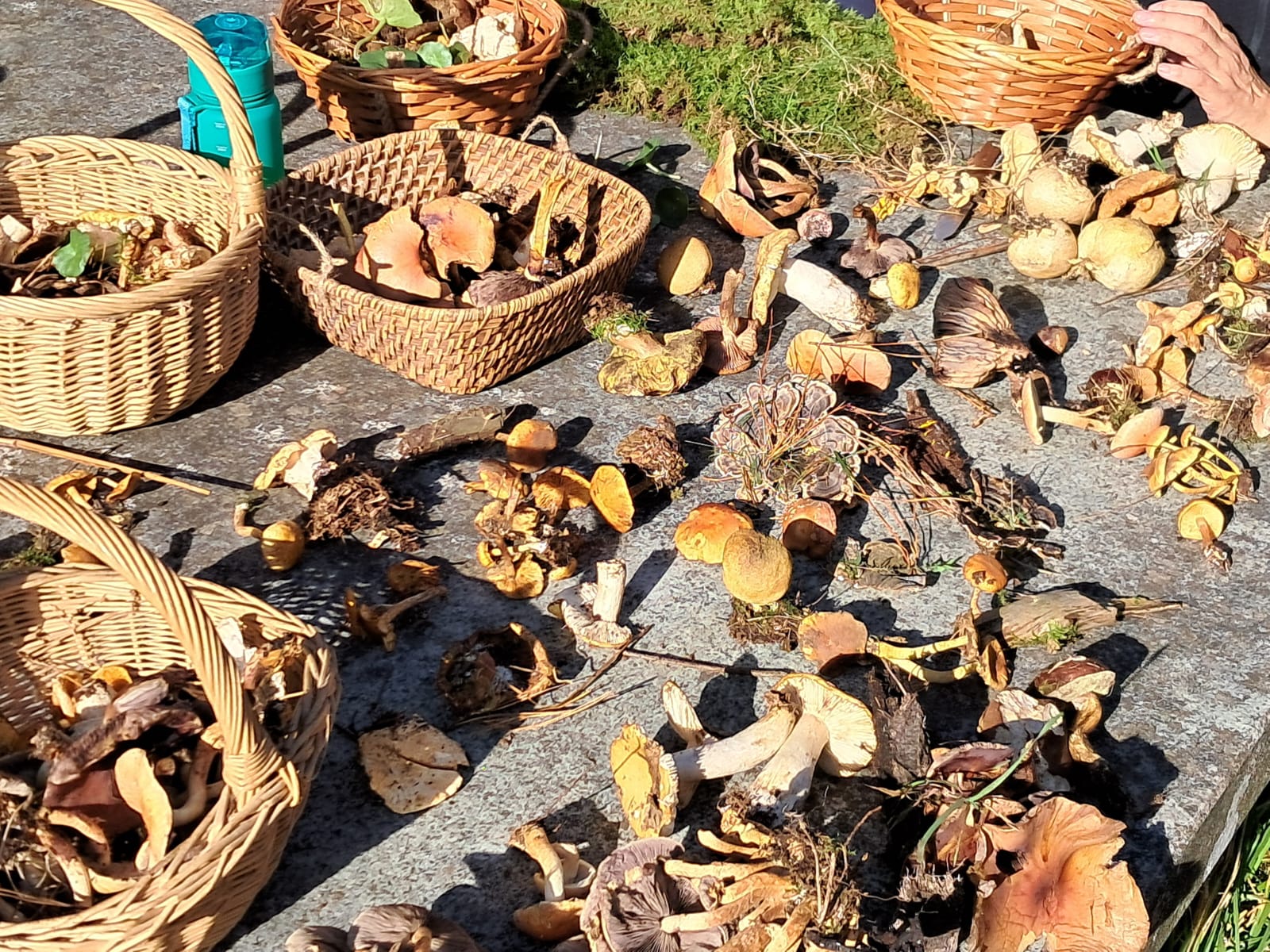 WhatsApp Image 2024-11-27 at 08.47.30